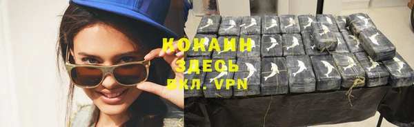 сатива Нея
