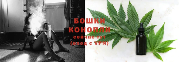 прущие грибы Навашино