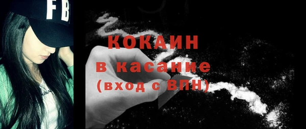ешки Билибино