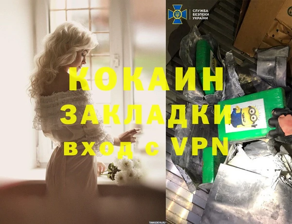 прущие грибы Навашино