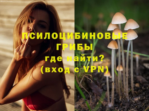 стаф Нефтекумск