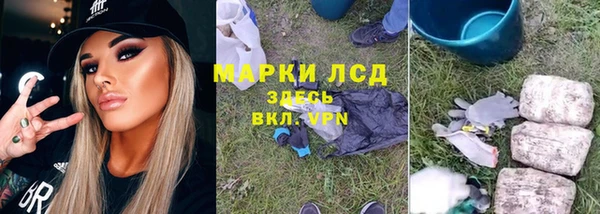 прущие грибы Навашино