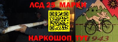 прущие крисы Кандалакша