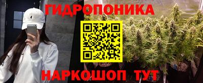 дурь Камышлов