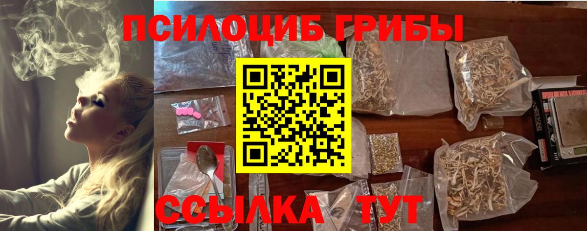 Псилоцибиновые грибы Psilocybine cubensis  Вход с VPN  Советская Гавань 