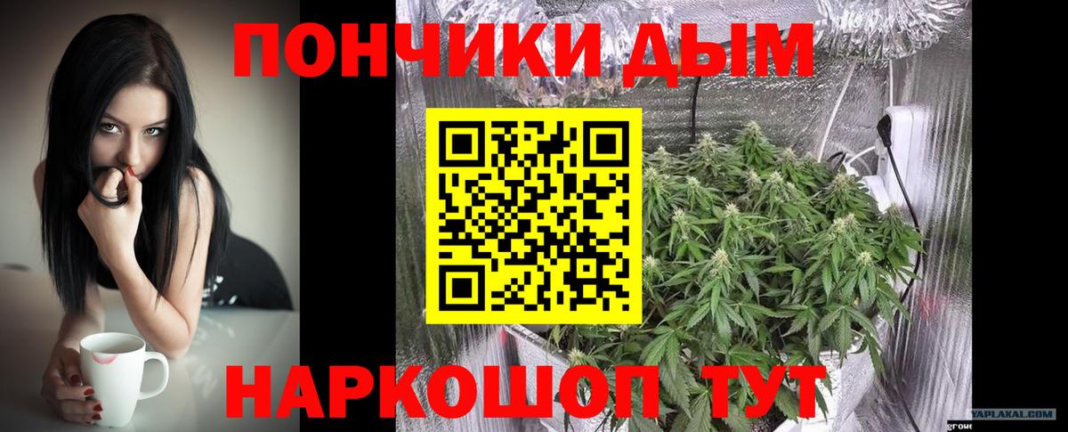 Канабис Bruce Banner  Вход с VPN  Конопля THC 21%  Советская Гавань 